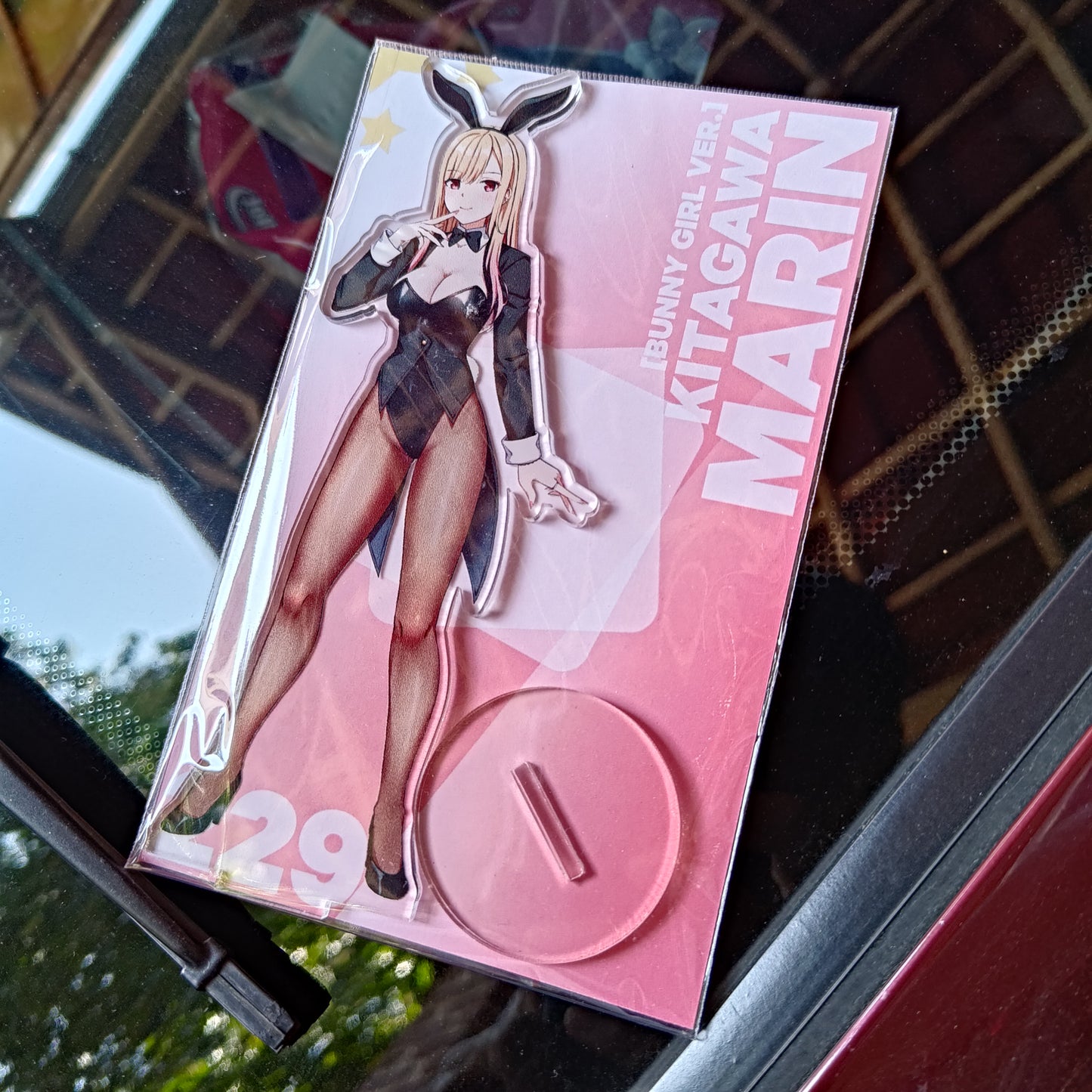 Marin Bunny - Acrylic Standee