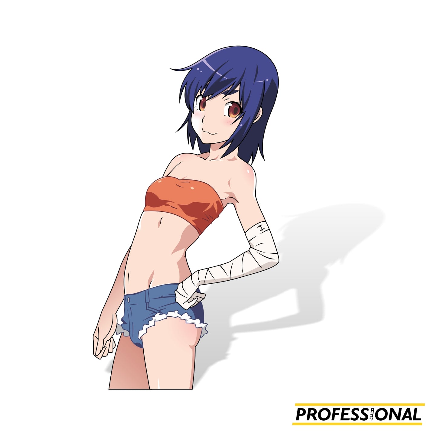 Suruga Kanbaru - Sticker Bundle