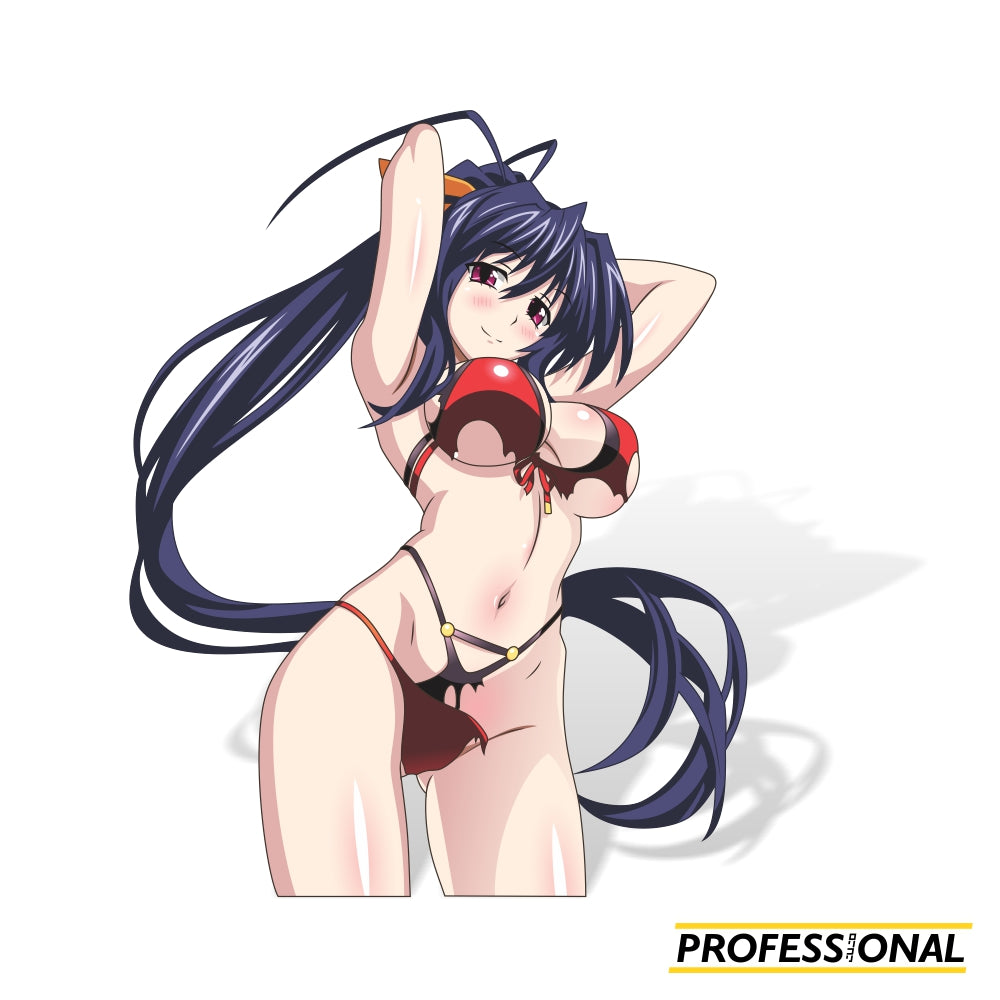 Akeno Himejima - Sticker Bundle