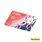 Hina - Card Skin