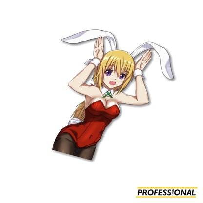 Charlotte Dunois Special 2024 - Sticker Bundle