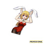 Charlotte Dunois Special 2024 - Sticker Bundle