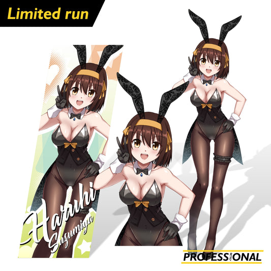 Haruhi Special 2024 - Sticker Bundle
