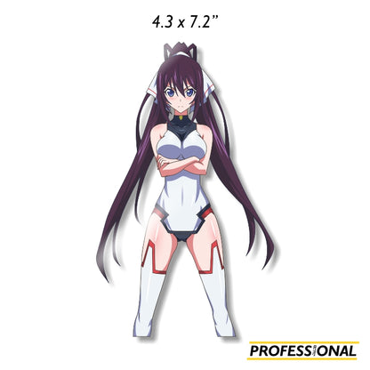 Infinite Stratos Girls - Die cut Sticker